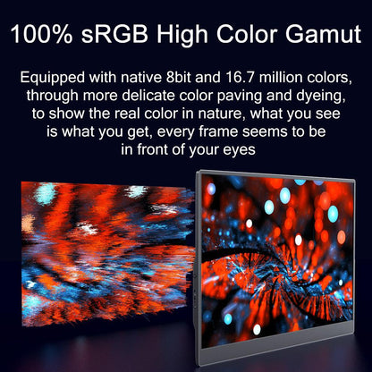 240Hz 17.3-Inch Gaming Portable Monitor HDR IPS 1920x1080 - product details high colour gamut - b.savvi