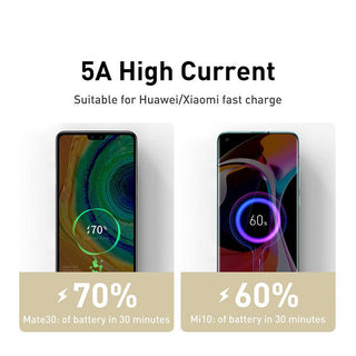 Baseus Cafule Metal USB C to USB C Cable 100W PD 5A Fast Charging - product details high current - b.savvi