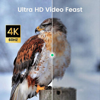 Ugreen Micro HDMI to HDMI Cable Type D Male to Male 4K@60Hz - product details ultra hd video - b.savvi